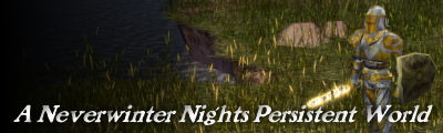 A Neverwinter Nights Persistent World